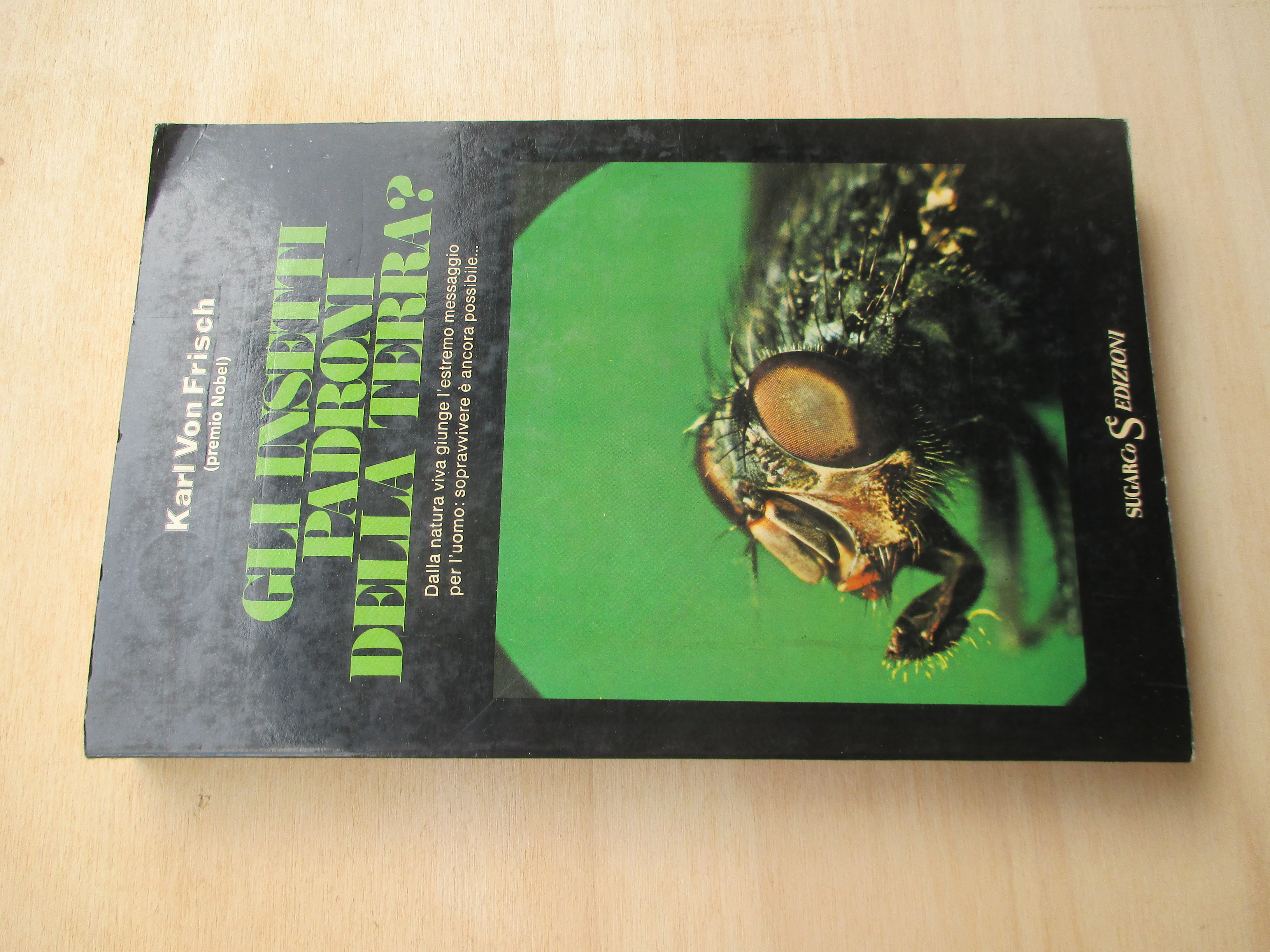 Gli insetti padroni della Terra ?