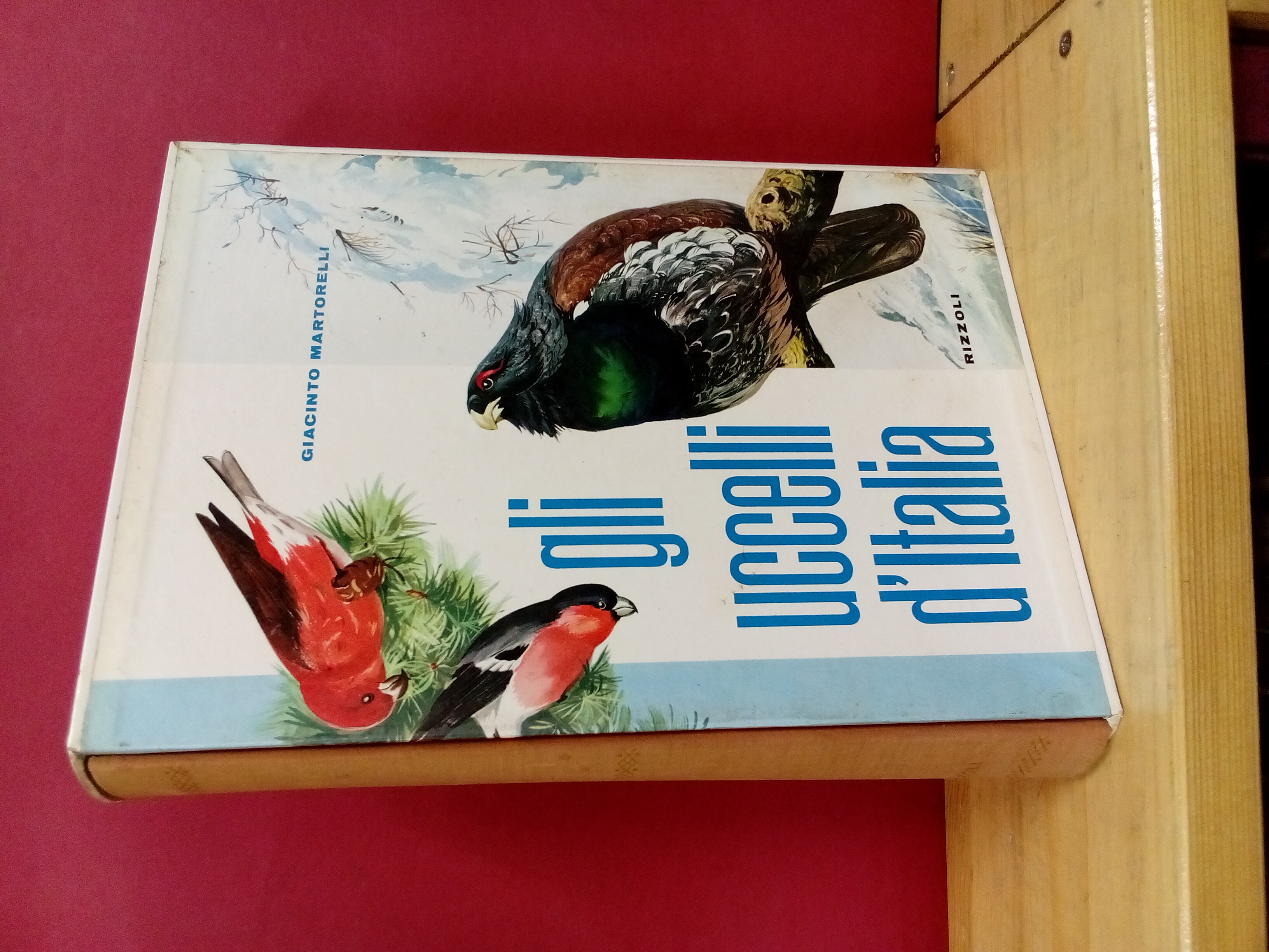 Gli uccelli d'Italia.