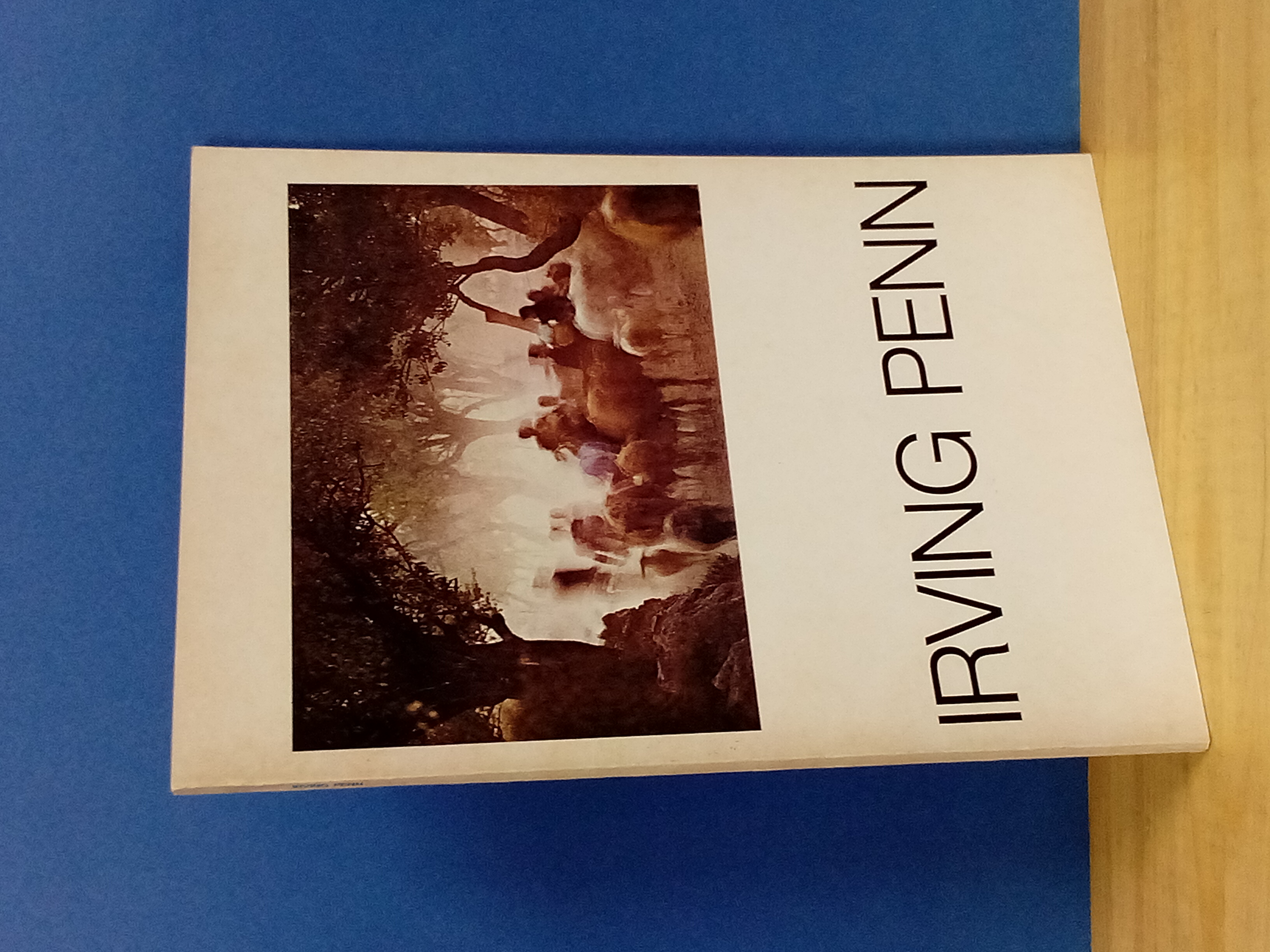 I platini di Irving Penn. 25 anni di fotografia.