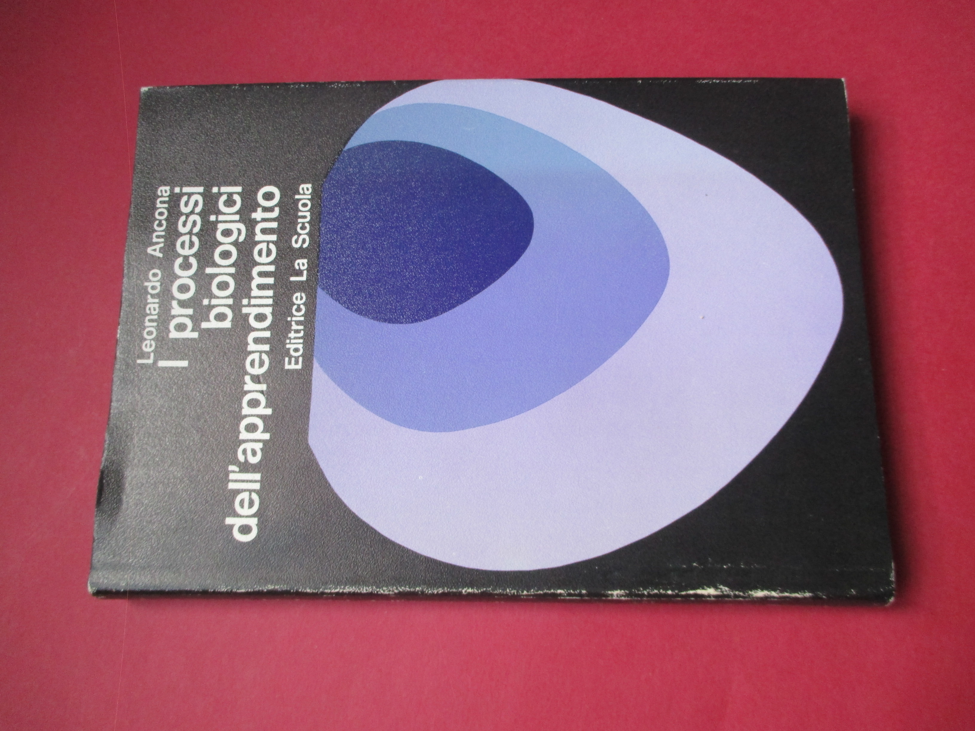 I processi biologici dell'apprendimento.