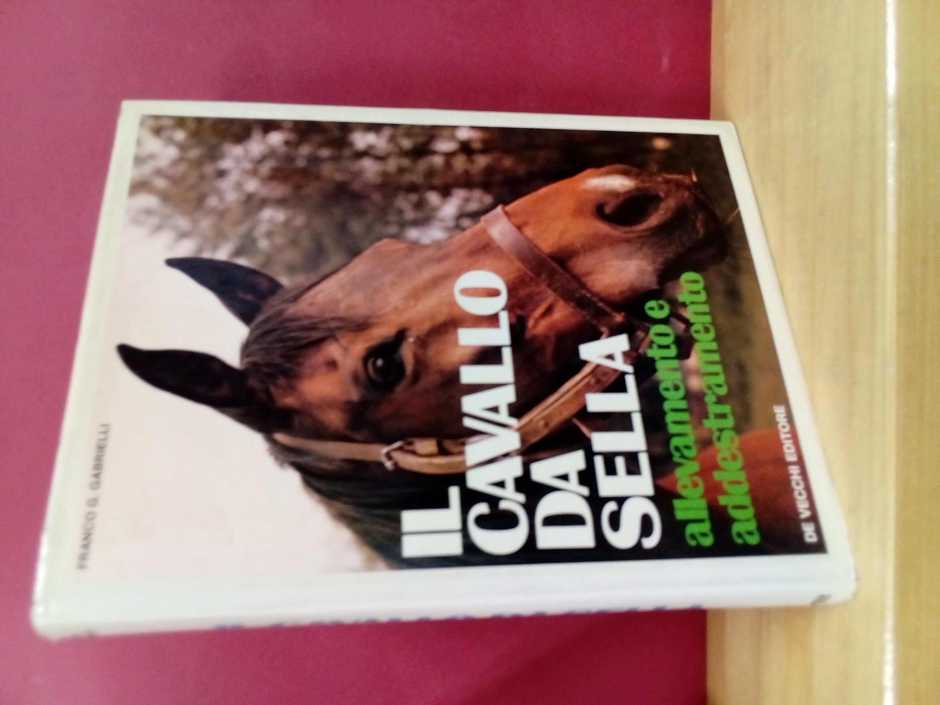 Il cavallo da sella. Allevamento e addestramento.