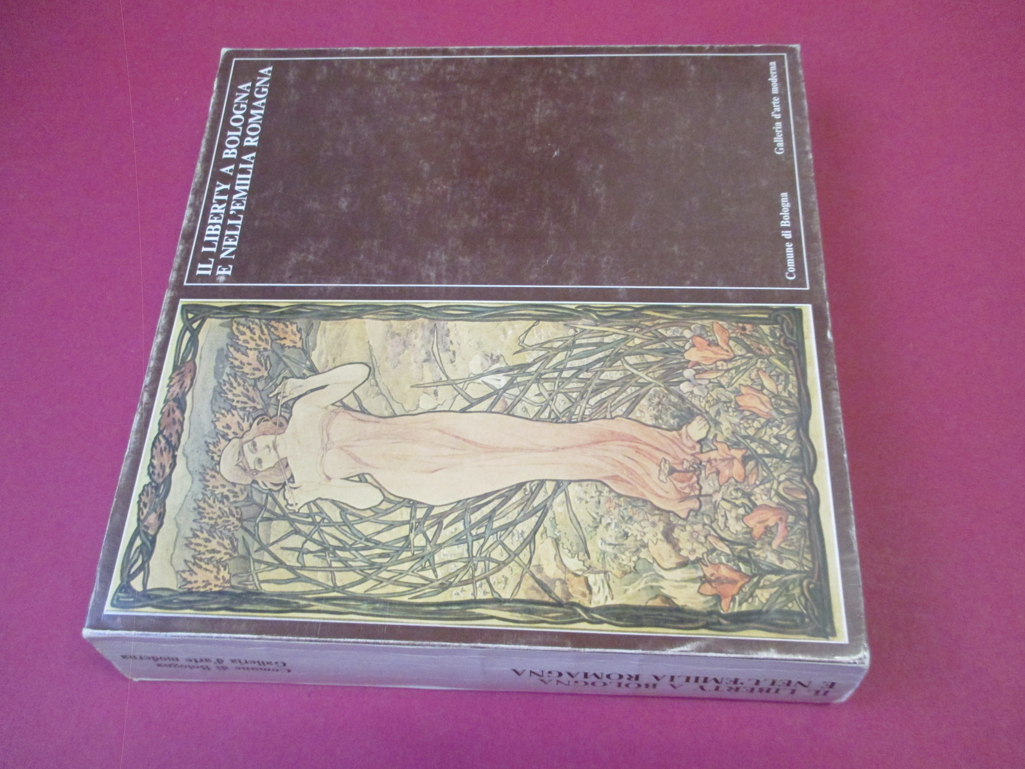 Il Liberty a Bologna e nell'Emilia Romagna. Architettura, arti applicate …