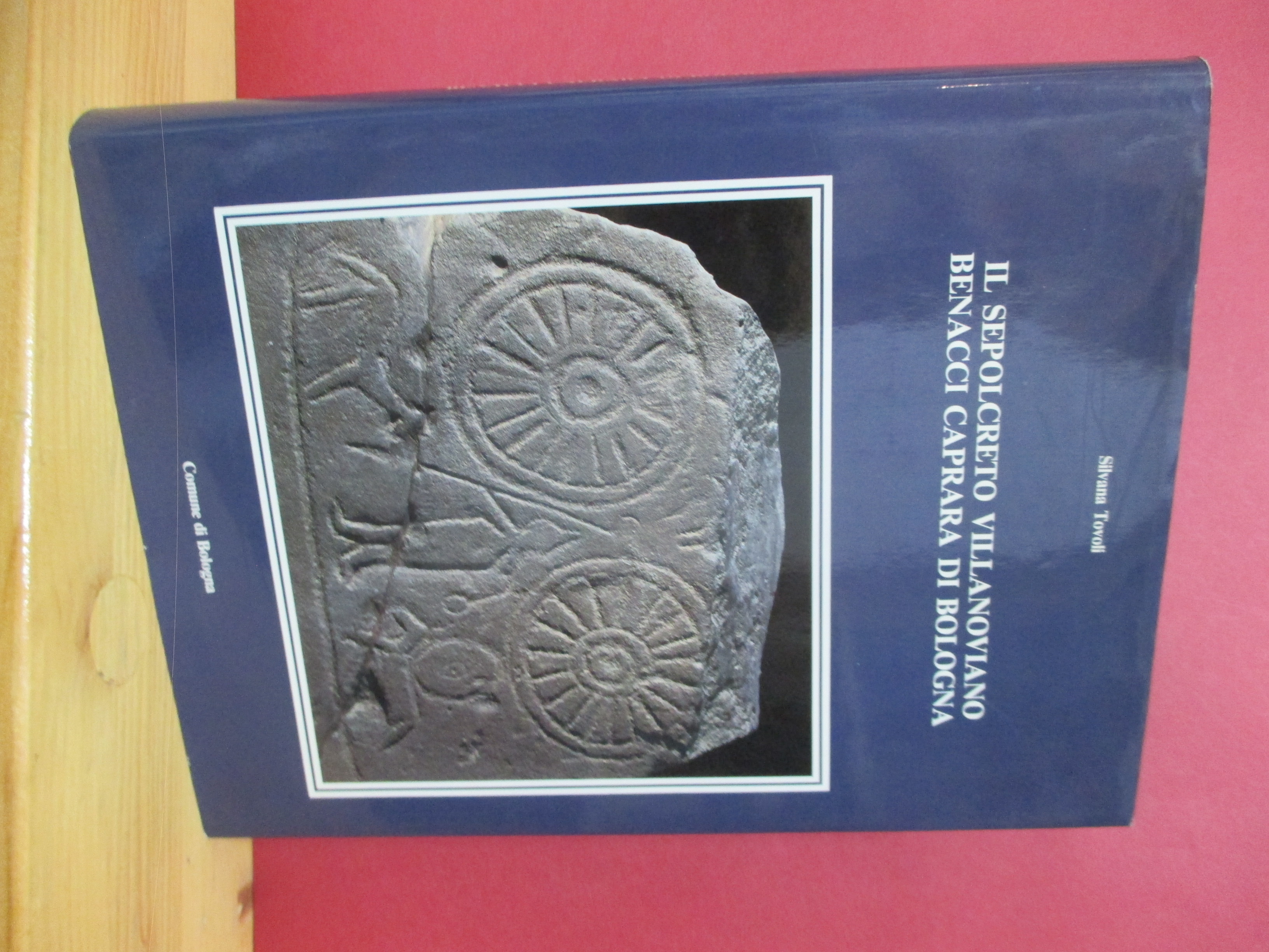 Il sepolcreto villanoviano Benacci Caprara di Bologna.