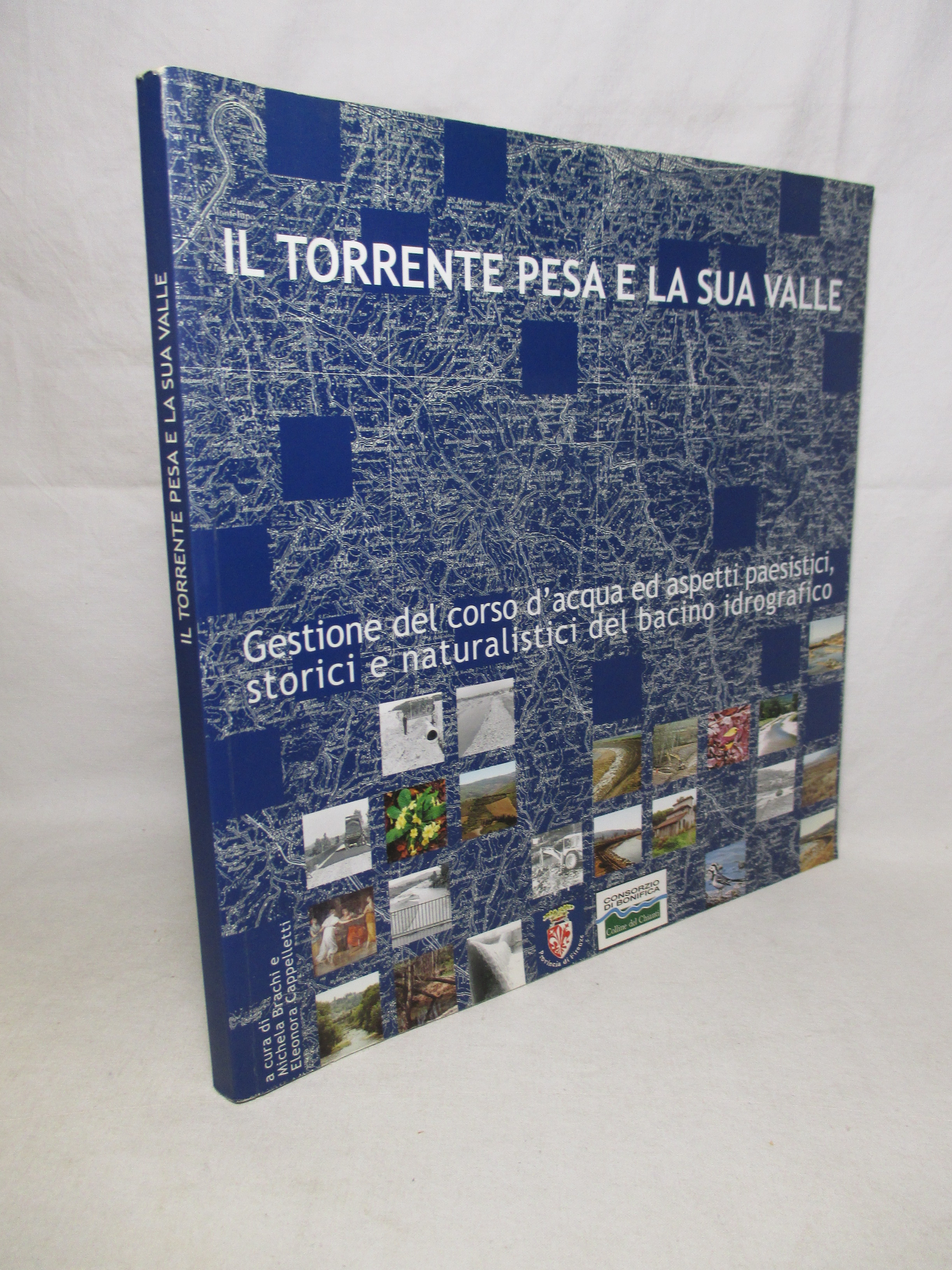 Il torrente Pesa e la sua valle. Gestione del corso …