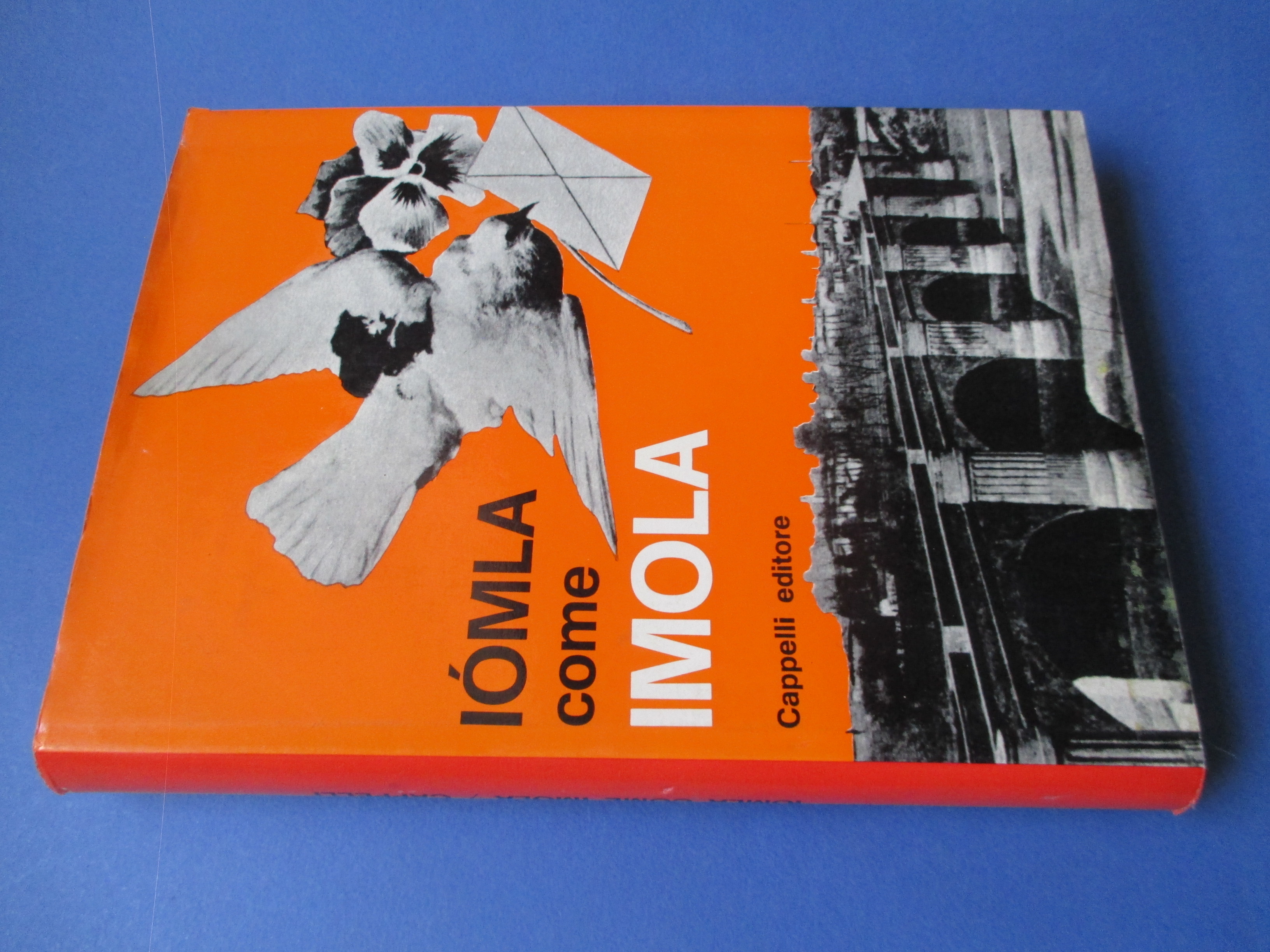 Iomla come Imola.