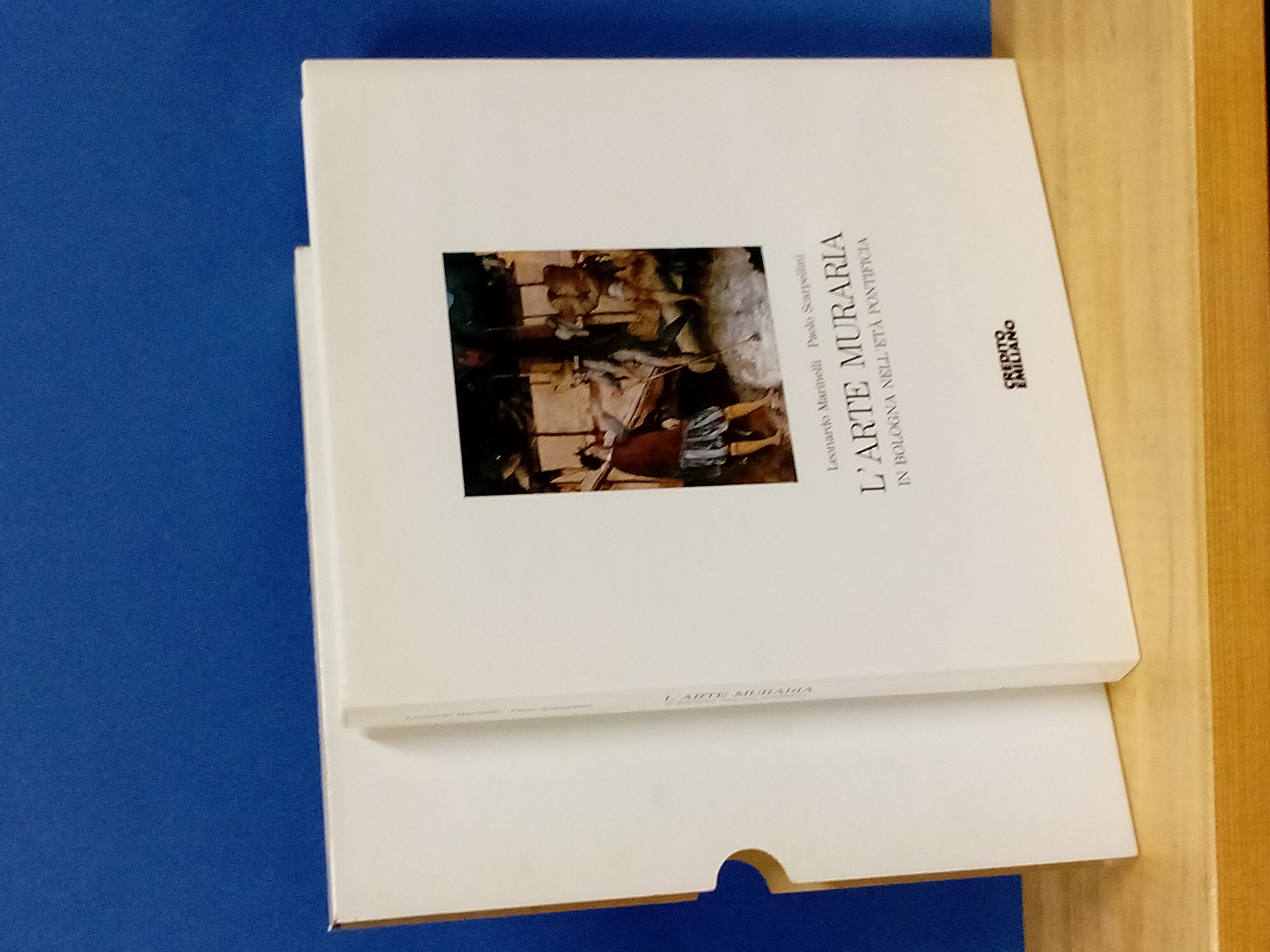 L'arte muraria in Bologna nell'età pontificia.