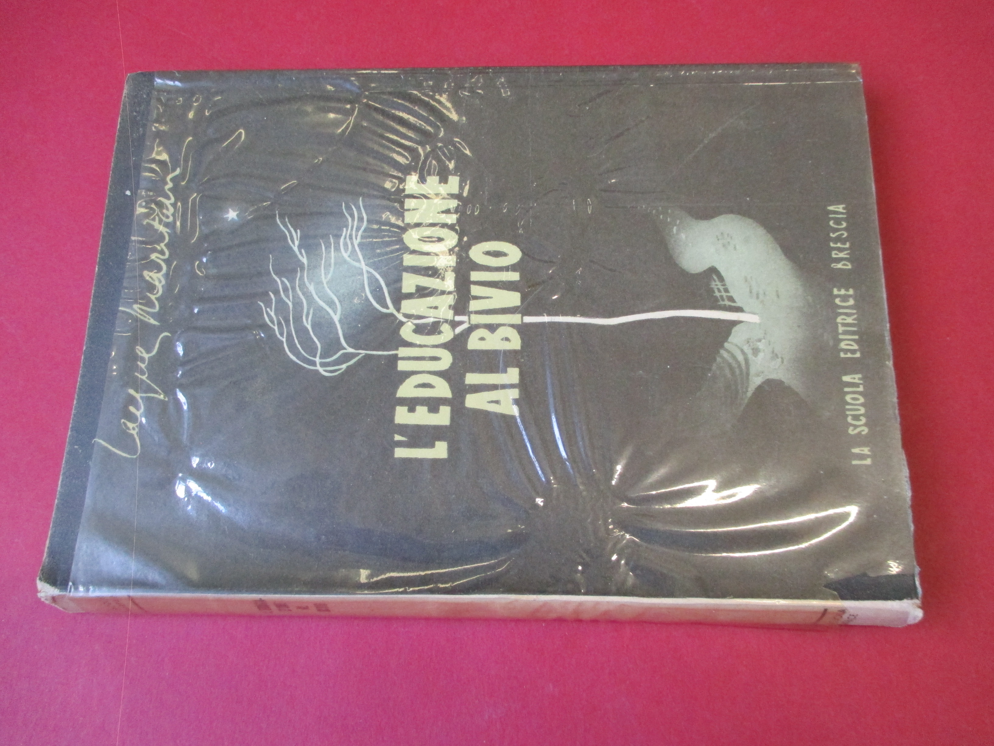 L'educazione al bivio.