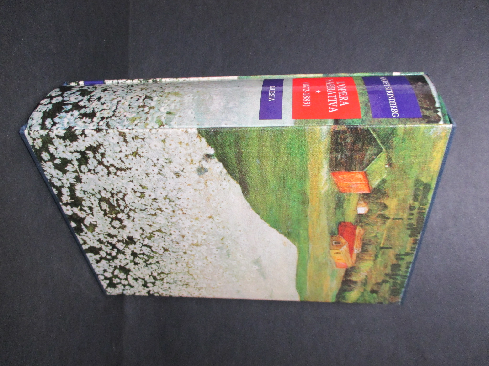 L'opera narrativa. Volume 1 ( 1872 – 1883 ).