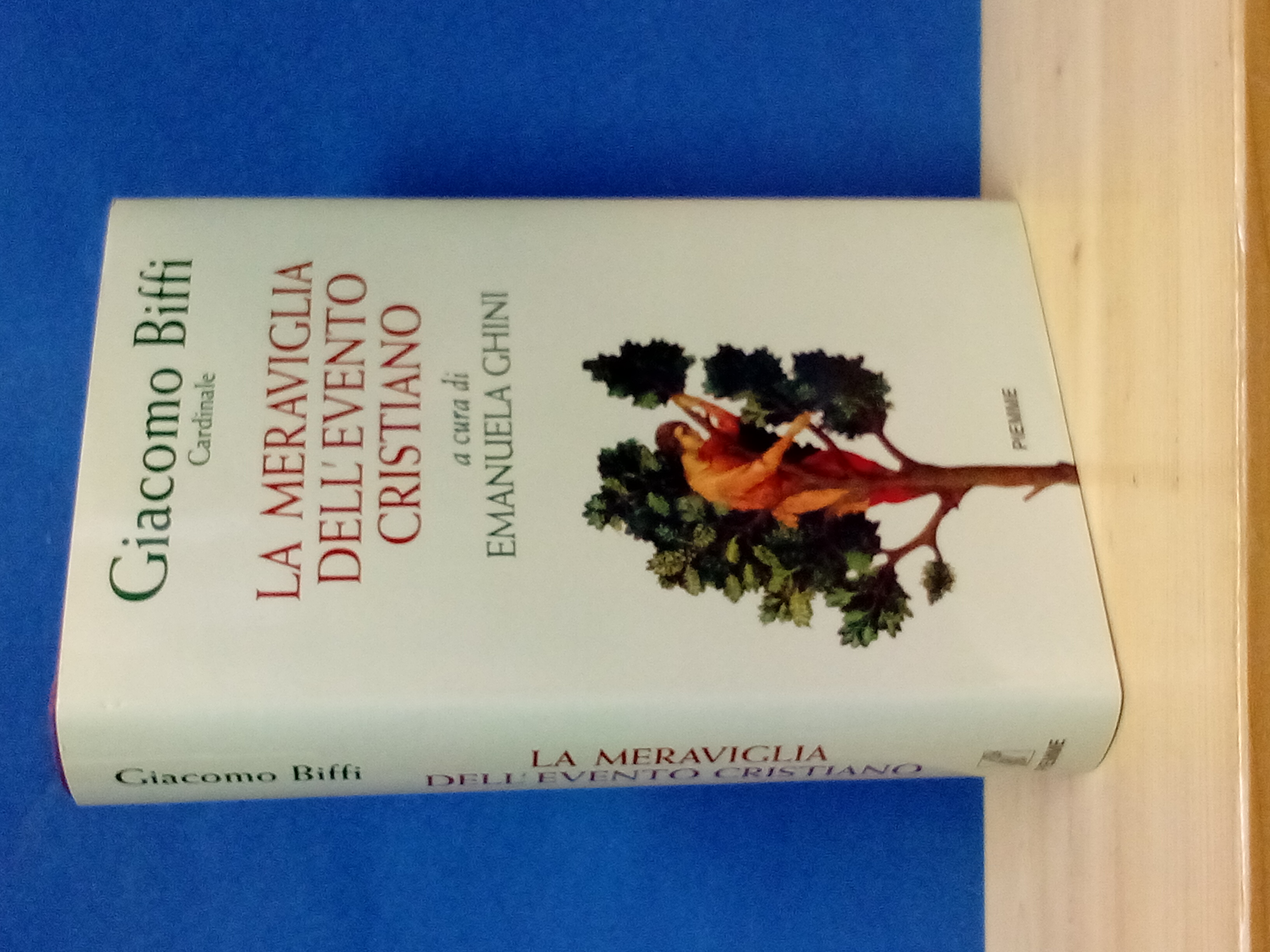 La meraviglia dell'evento cristiano. A cura di Emanuela Ghini.