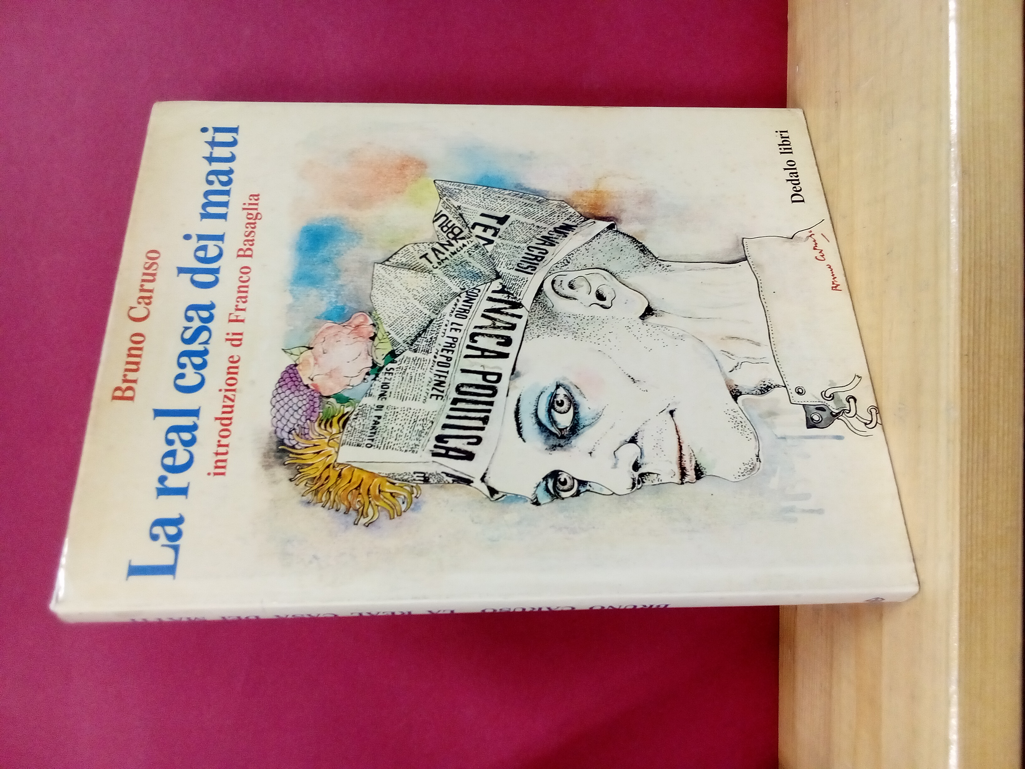 La real casa dei matti. Introduzione di Franco Basaglia.