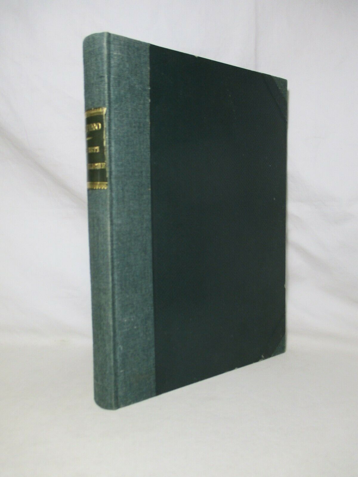 Le reti idrauliche. Bonifiche - Fognature - Torrenti e fiumi.