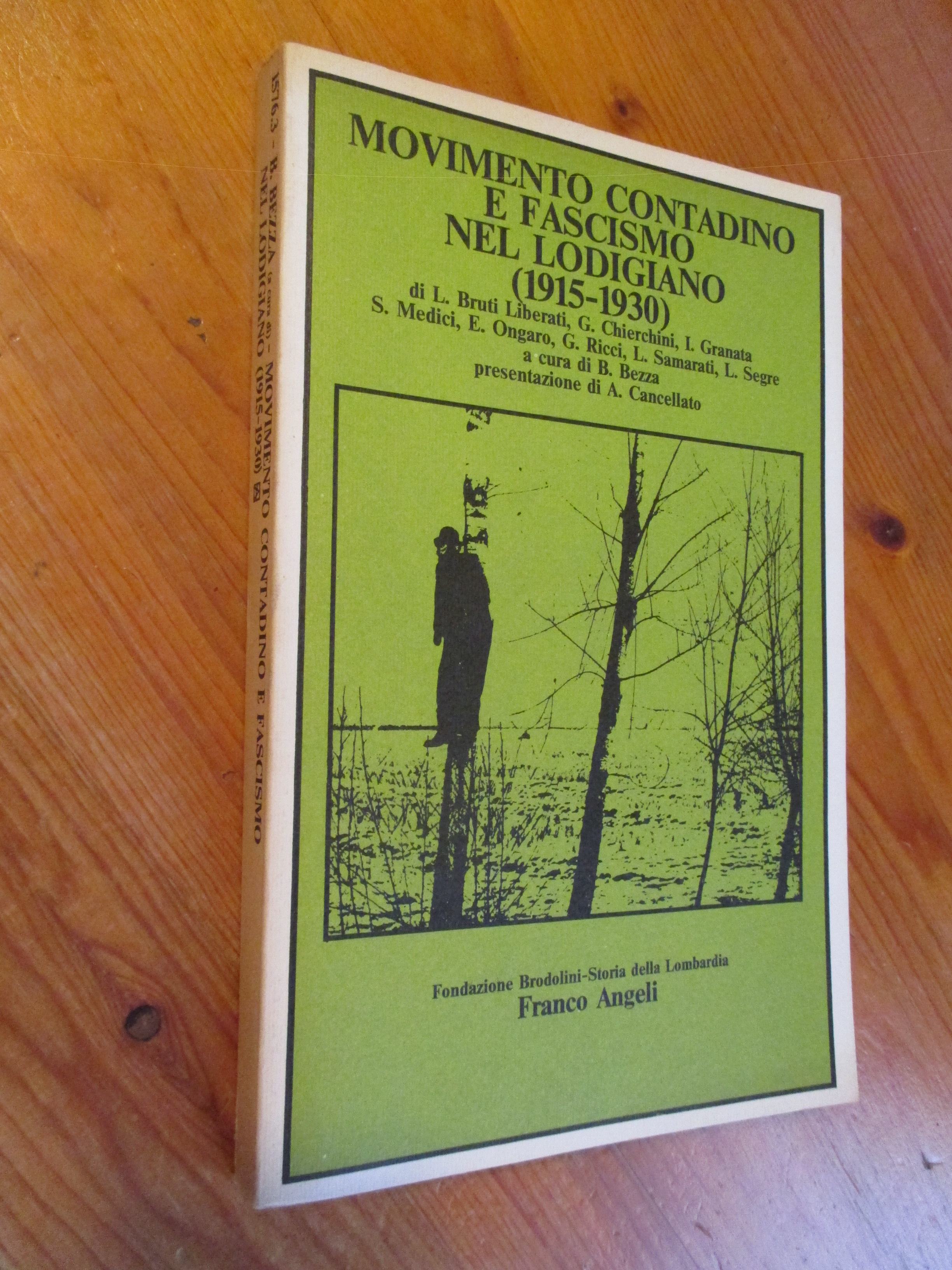 Movimento contadino e fascismo nel lodigiano ( 1915 – 1930 …