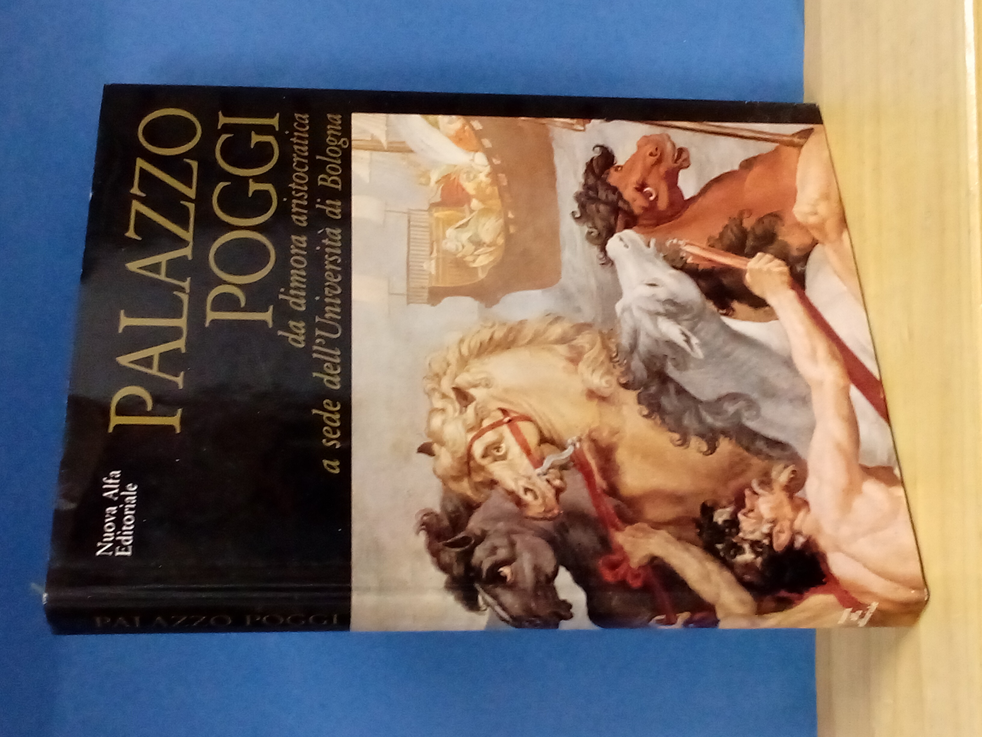 Palazzo Poggi. Da dimora aristocratica a sede dell'Università di Bologna.