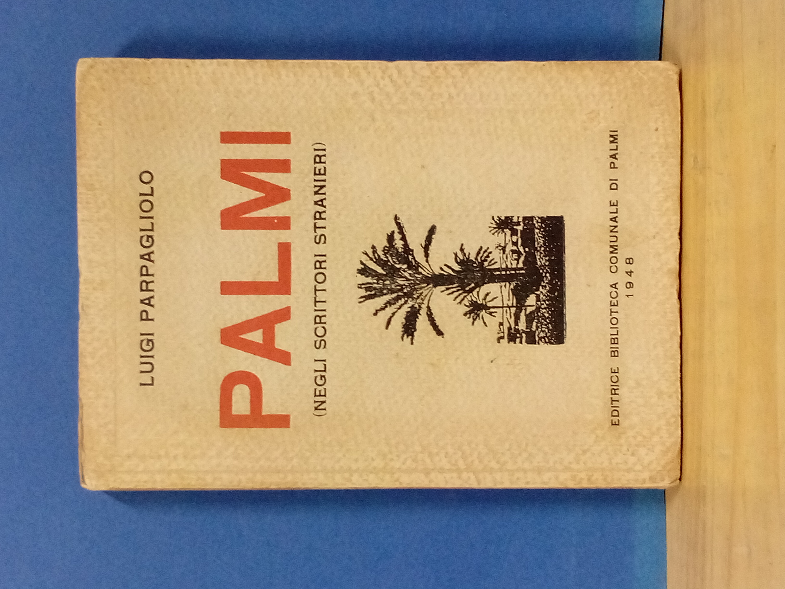 Palmi città panoramica ( dagli scrittori stranieri ).