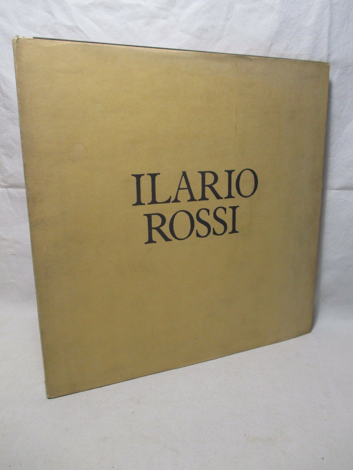 Pitture di Ilario Rossi.