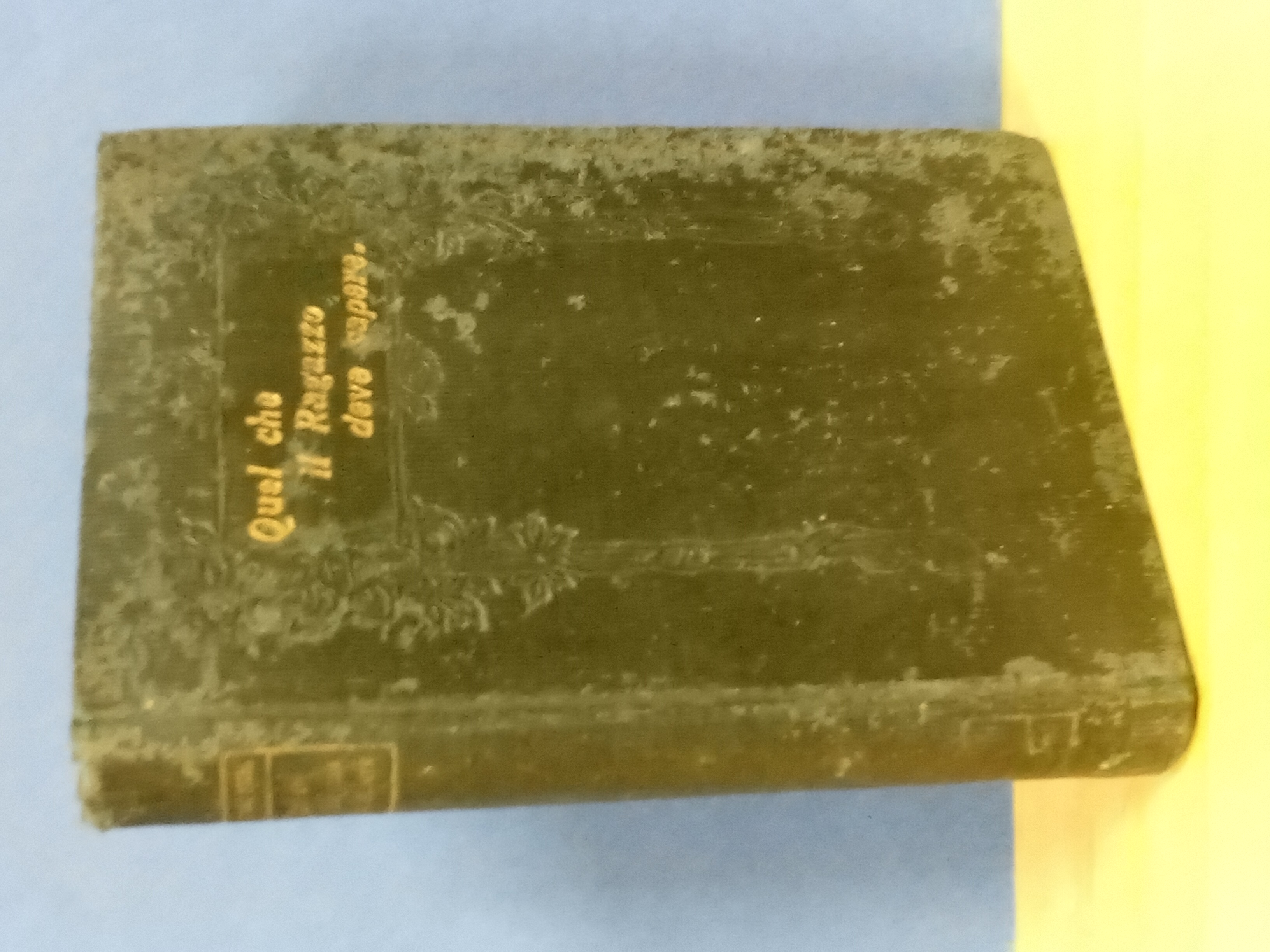 Quel che il ragazzo deve sapere. Versione dall'inglese di Ernesto …