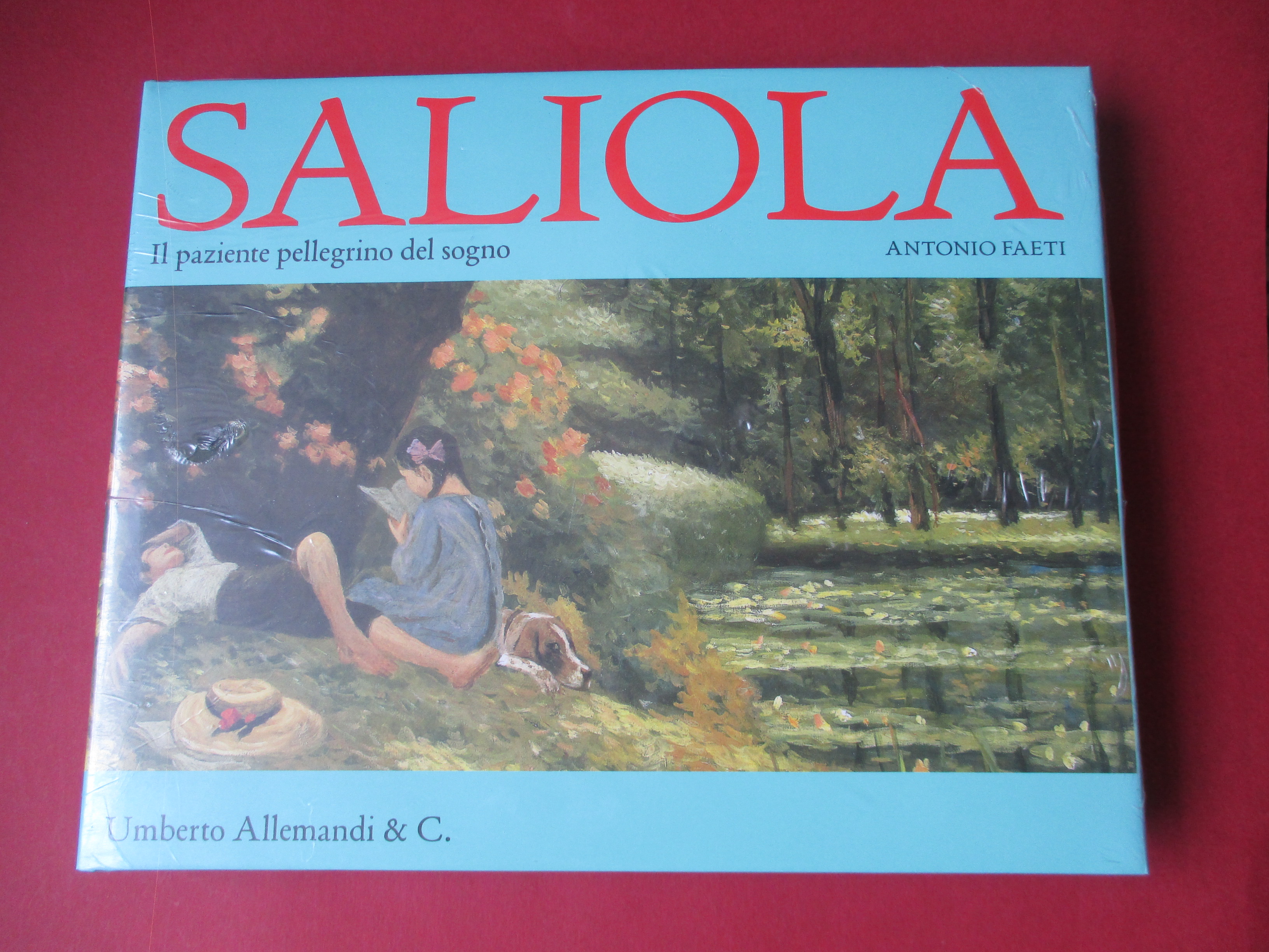 Saliola. Il paziente pellegrino del sogno.
