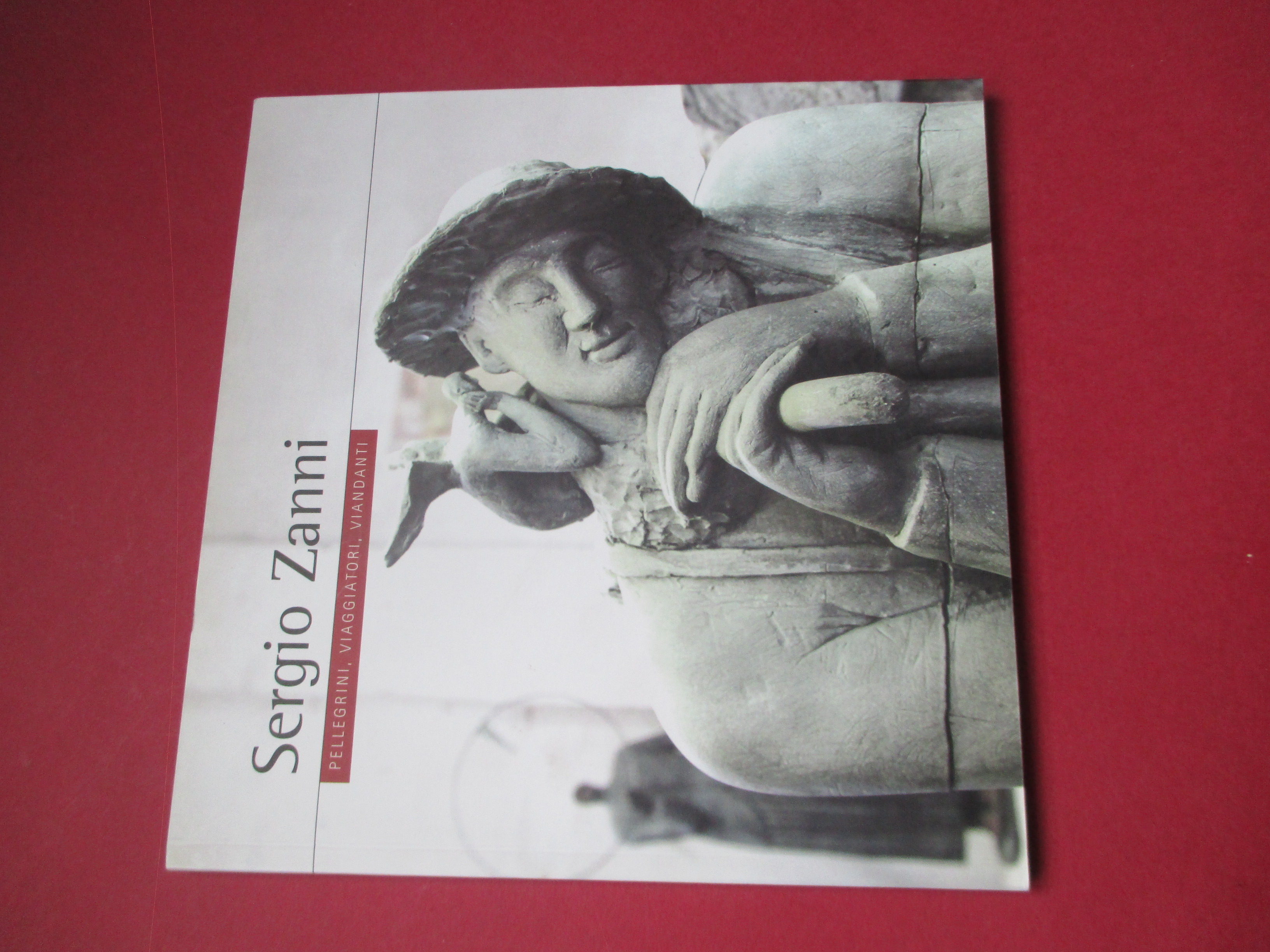 Sergio Zanni. Pellegrini, viaggiatori, viandanti.