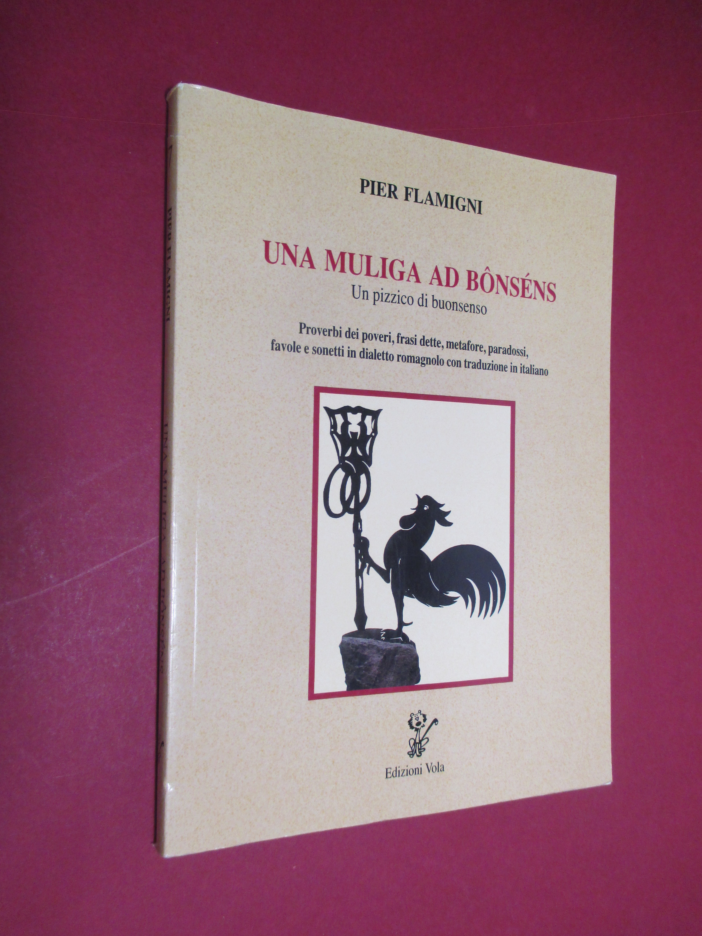 Una muliga ad bonsens / Un pizzico di buonsenso. Proverbi …