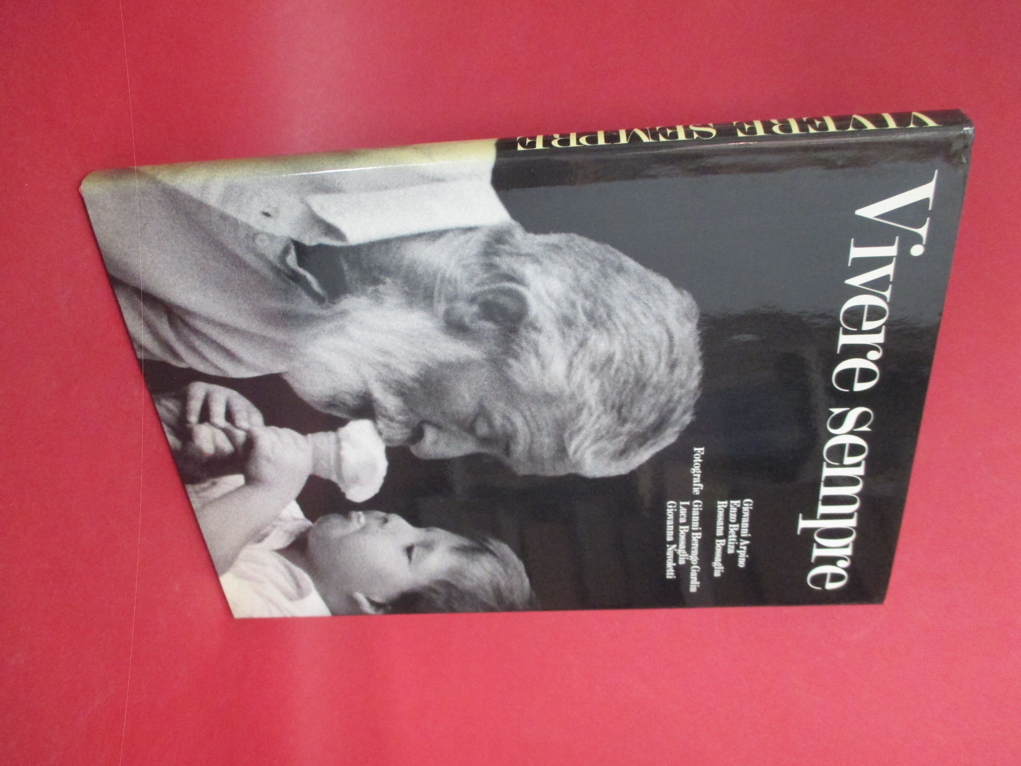 Vivere sempre. Fotografie di Gianni Berengo Gardin, Luca Bossaglia, Giovanna …