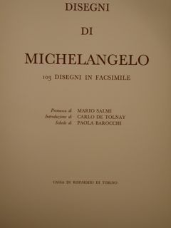 DISEGNI DI MICHELANGELO.