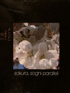 SAKURA, SOGNI PARALLELI.