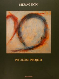 PITULUM PROJECT.