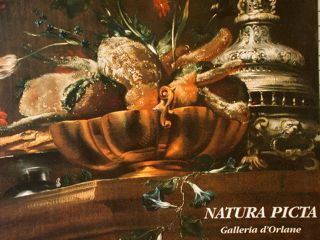 NATURA PICTA. GALLERIA D'ORLANE.