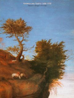 ANDREA DEL SARTO 1486-1530. DIPINTI E DISEGNI A FIRENZE. Firenze, …