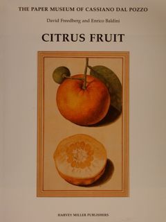 THE PAPER MUSEUM OF CASSIANO DAL POZZO. CITRUS FRUIT.
