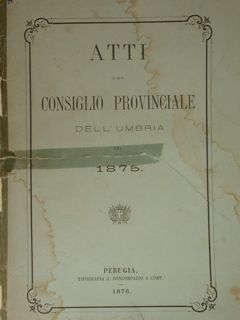 ATTI DEL CONSIGLIO PROVINCIALE DELL'UMBRIA NEL 1875.