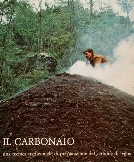 IL CARBONAIO. UNA TECNICA TRADIZIONALE DI PREPARAZIONE DEL CARBONE DI …