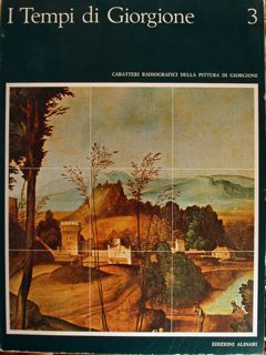 I TEMPI DI GIORGIONE Caratteri radiografici della pittura di Giorgione.