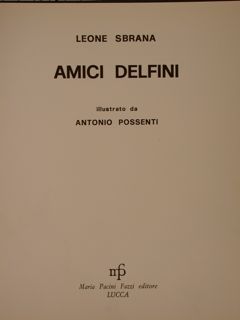 AMICI DELFINI.