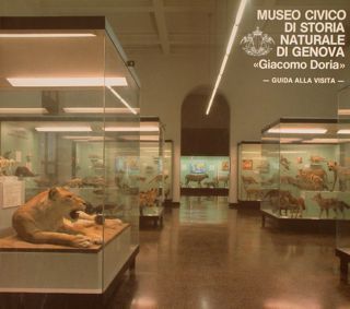 MUSEO CIVICO DI STORIA NATURALE DI GENOVA 'Giacomo Doria'. Guida …