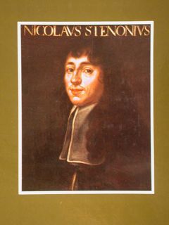 NICCOLO' STENONE. OPERE SCIENTIFICHE. Traduzione integrale dai testi originali.