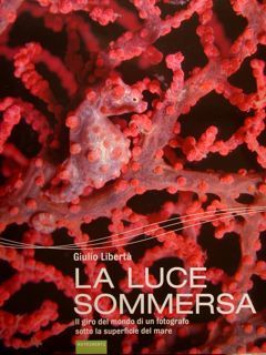 LA LUCE SOMMERSA. Il giro del mondo di un fotografo …