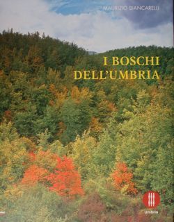 I BOSCHI DELL'UMBRIA.