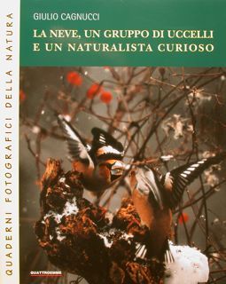 LA NEVE, UN GRUPPO DI UCCELLI E UN NATURALISTA CURIOSO.
