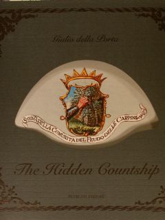 THE HIDDEN COUNTSHIPS.