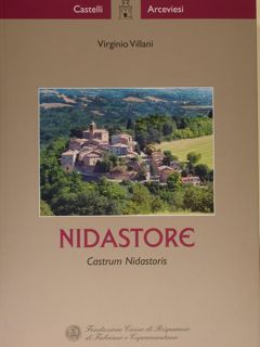 NIDASTORE. Castrum Nidastoris.