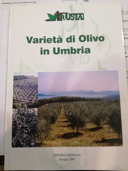 VARIETA' DI OLIVO IN UMBRIA.