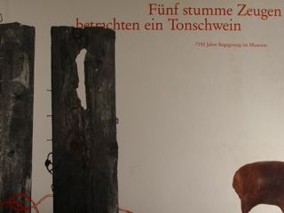 FUNF STUMME ZEUGEN BETRACHTEN EIN TONSCHWEIN. 7192 Jahre Begegnung im …