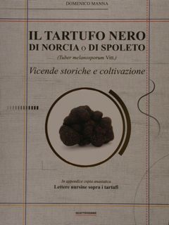 IL TARTUFO NERO DI NORCIA O DI SPOLETO (tuber melanosporum …