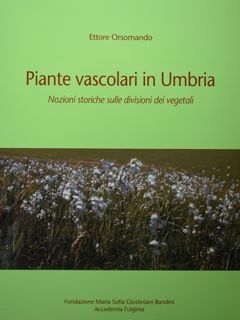 Piante vascolari in Umbria. Nozioni storiche sulle divisioni dei vegetali.