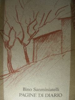 Pagine di diario.