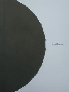 Il Tuffatore. Frasi scelte da una intensa corrispondenza (2008-2010).