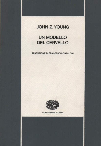 Un modello del cervello.