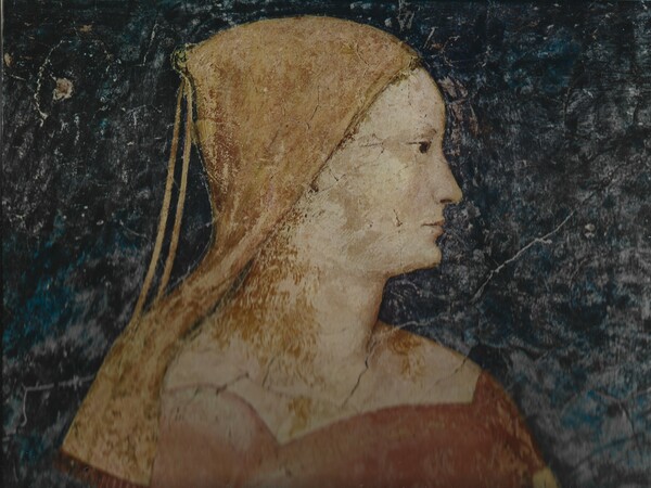 Gli affreschi di casa Minerbi a Ferrara. A cura di …