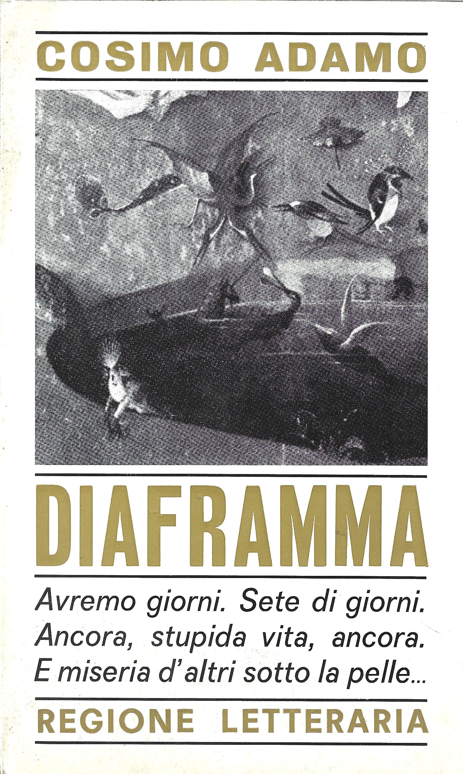 Diaframma.